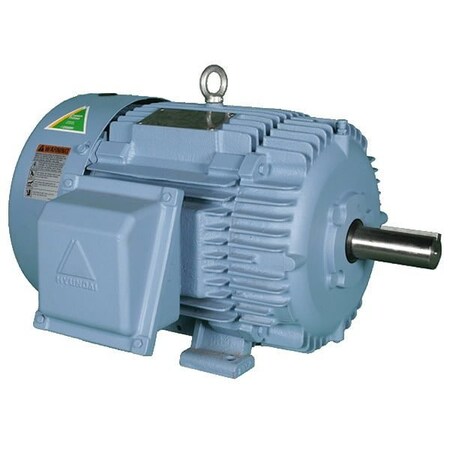 Worldwide Electric Hyundai PEM Motor, TEFC, Rigid, 3 PH, 256T, 575V, 20 HP, 3600 RPM, 18.5 FLA HHI20-36-575-256T